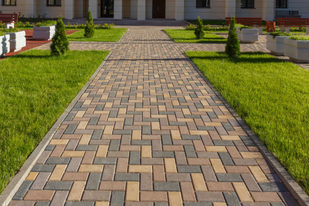 Reasons to Select Us for Your Driveway Paving Requirements in Greenville, NC